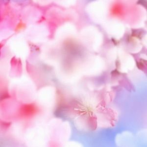 Meet your Posher, Dog